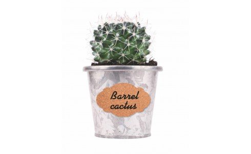 Fustella alta acciaio Wiler - TARGHETTE - SRD006