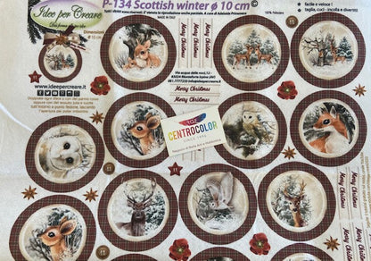 Pannello Scottish winter  diam-10 p 134