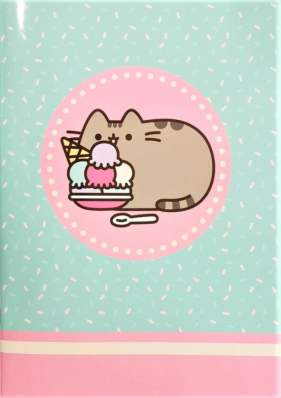 Set 2 quaderni RIGHE Pusheen