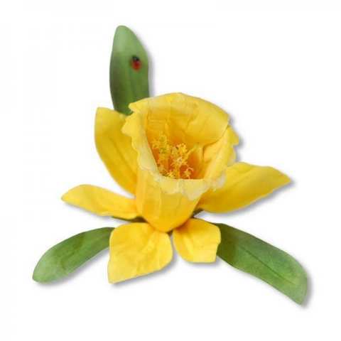 Sizzix Thinlits Die Set 12PK - Flower, Daffodil 658414