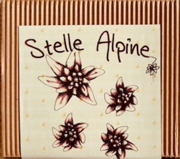 Stampo in silicone STELLE ALPINE