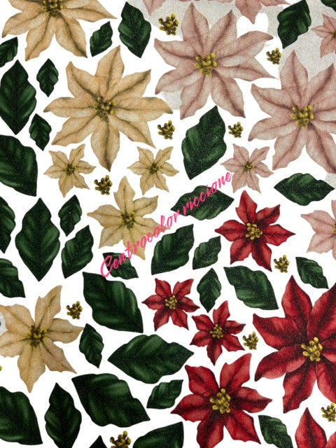 Stella natalosa con glitter 60x90 circa